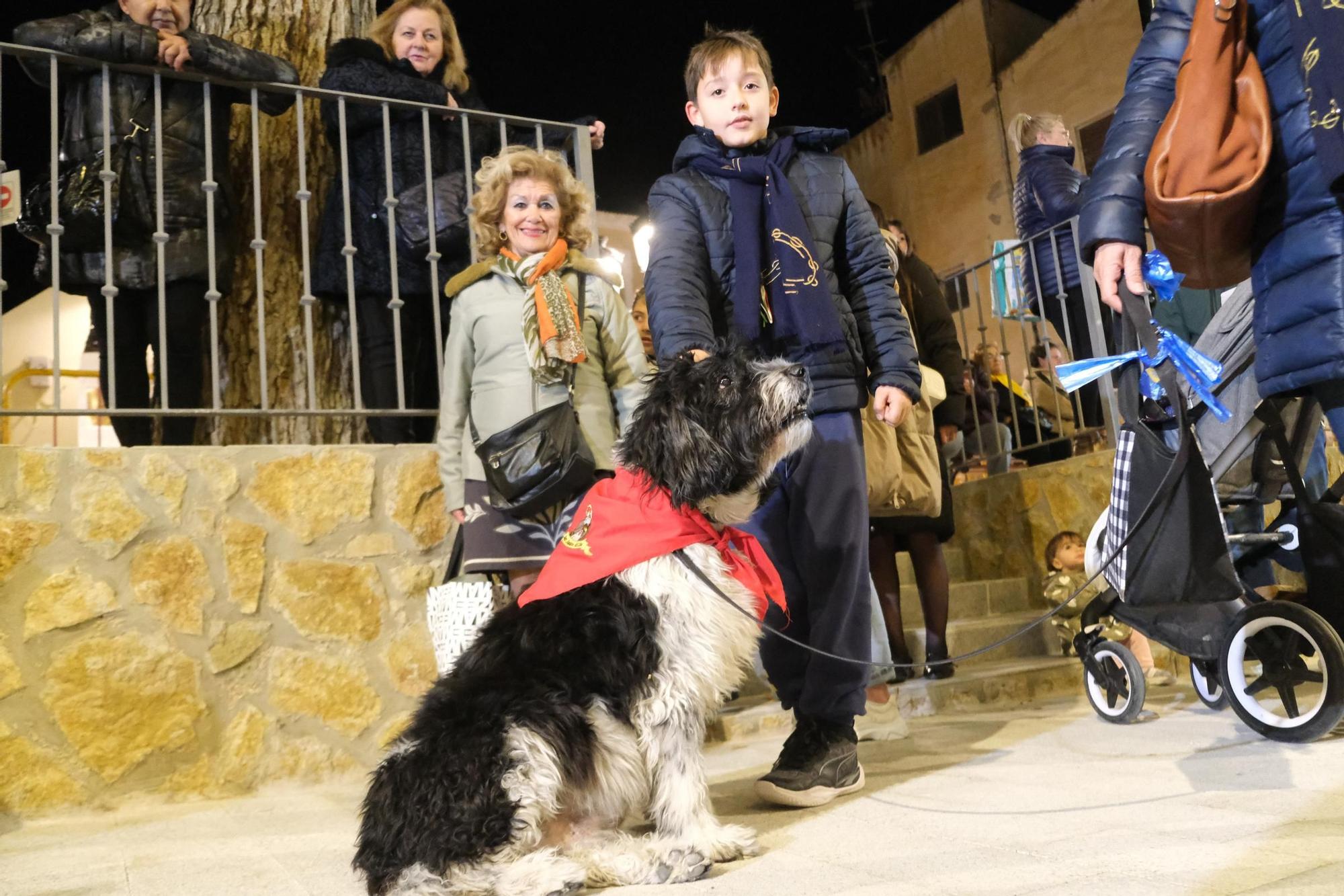 Así ha sido la celebración de la festividad de San Antón en Elda