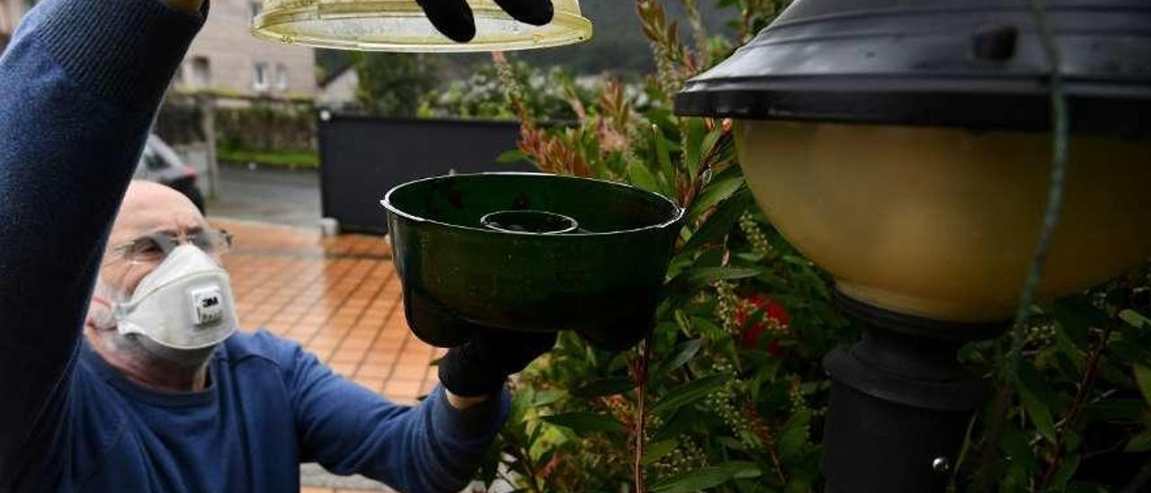 José María Domínguez coloca una trampa junto a un calistemo en su jardín en Campañó. // Gustavo Santos