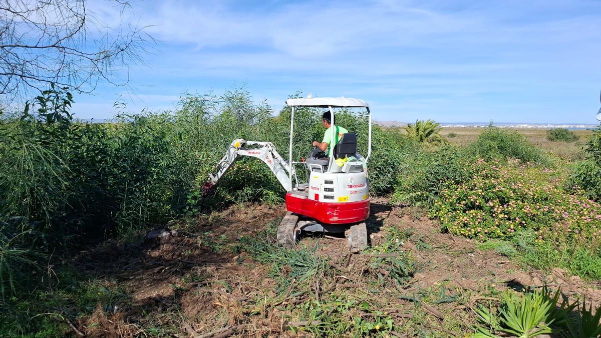 Maquinaria llevando a cabo las primeras labores de la restauración ambiental de El Carmolí.