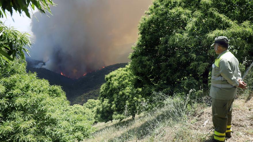 El incendio forestal de Pujerra quedará este miércoles perimetrado en su totalidad