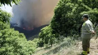 El incendio forestal de Pujerra quedará este miércoles perimetrado en su totalidad