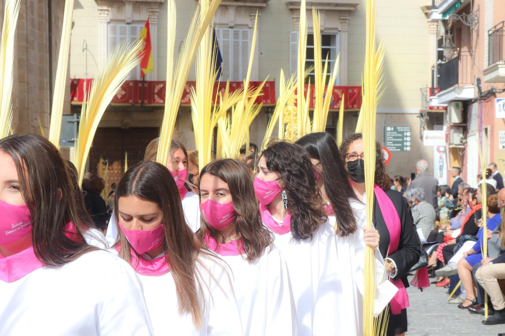 El obispo Munilla preside la procesión de las Palmas en Orihuela