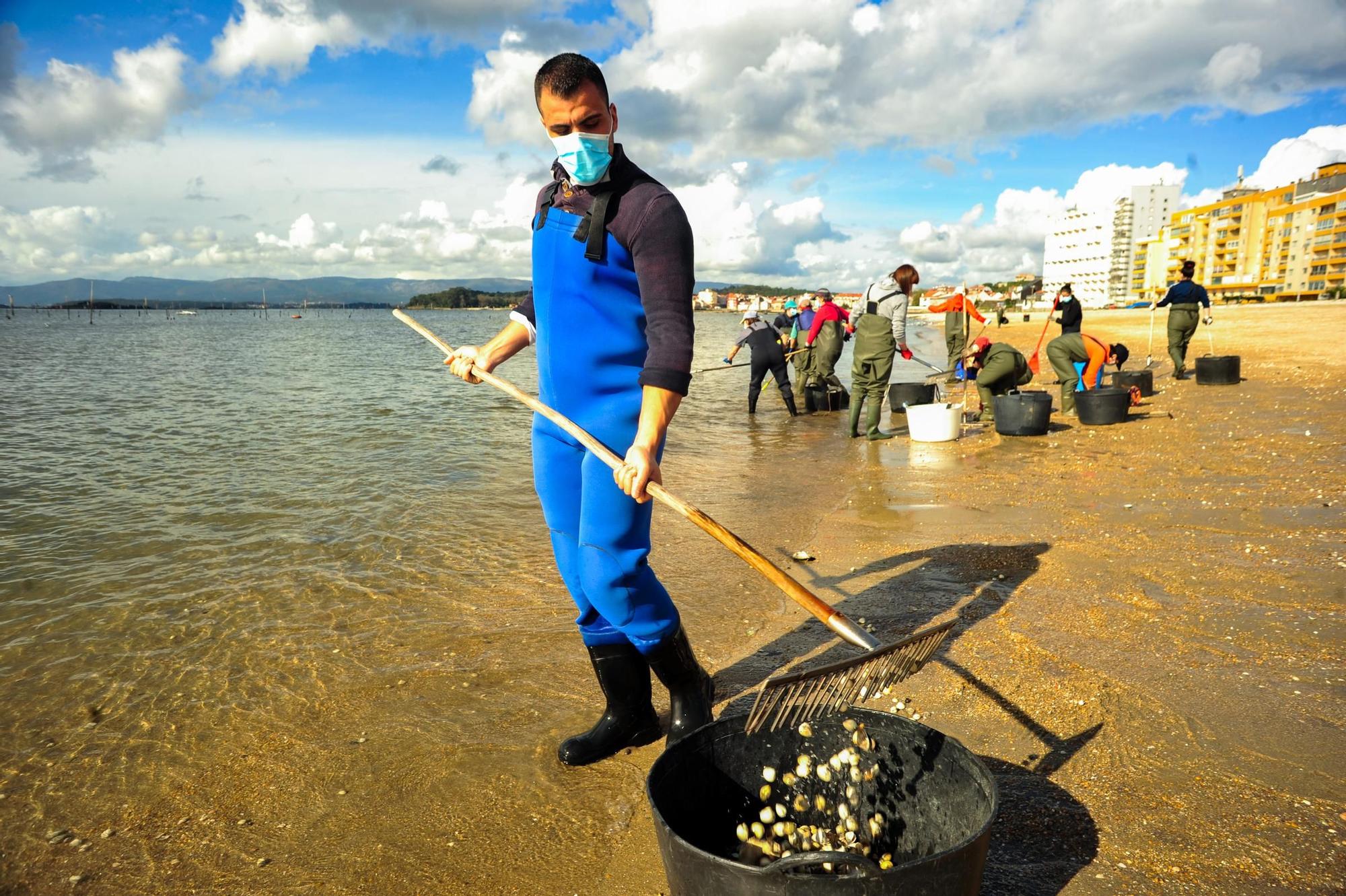 Las mariscadoras de Carril, al rescate de bivalvos en la playa de Compostela