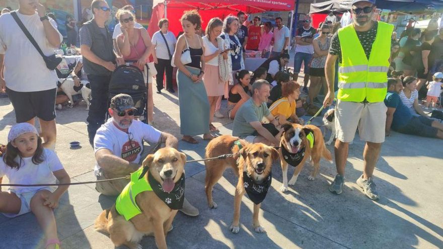 Más de 30 perros desfilan en la Feira de Adopcións de las protectoras en Moaña