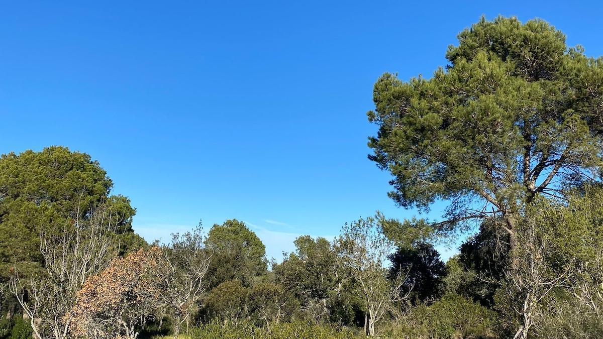L'espai de Font de la Salut, a Begur.
