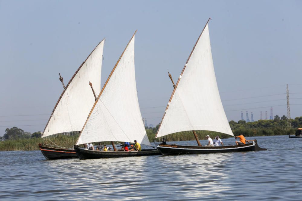 Regata-exhibición de vela latina en l'Albufera