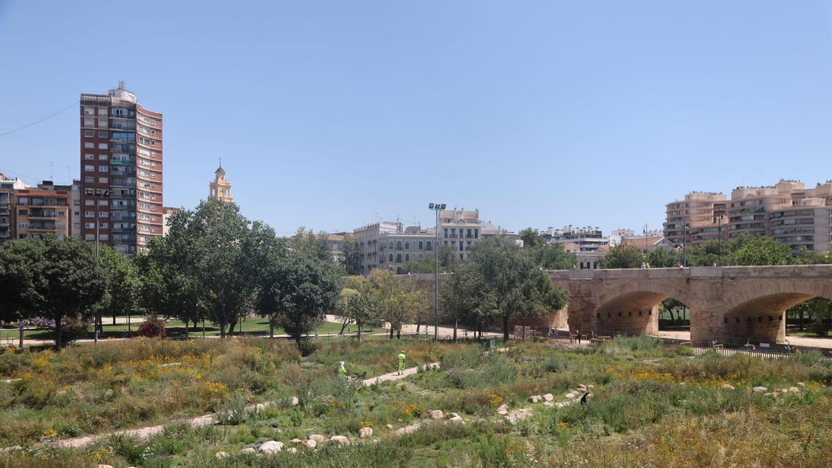 El Jardín de Polinizadores situado en el tramo VI del Jardín del Turia