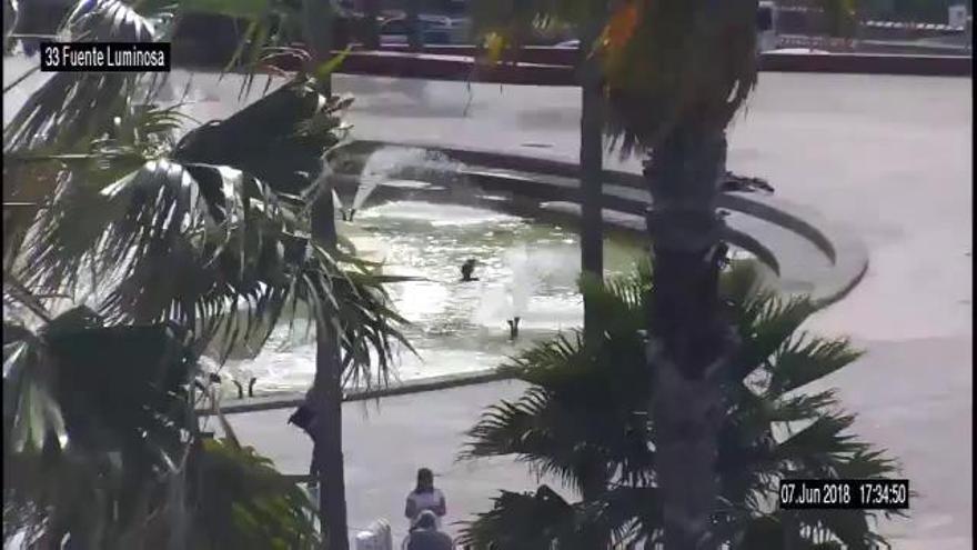 Un ciudadano 'se pega' un chapuzón en la Fuente Luminosa