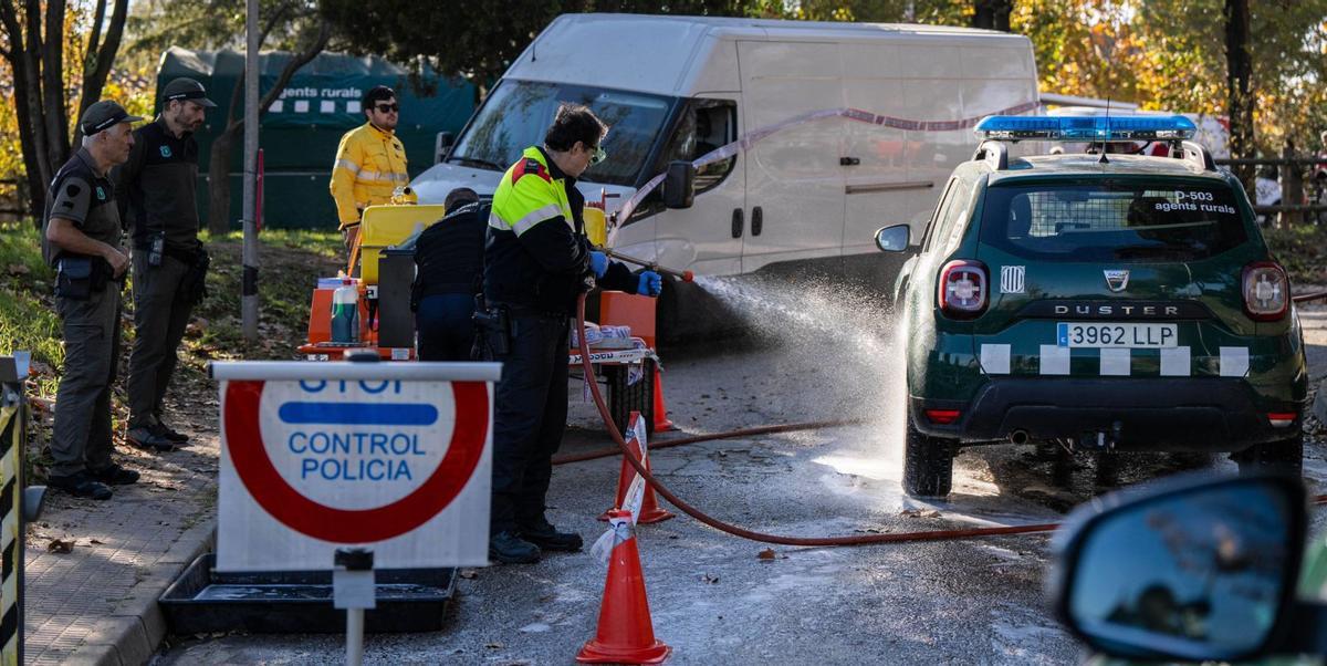 Catalunya es juga fins a 1.000 milions d’euros amb la crisi de la pesta porcina