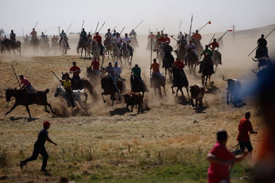 Encierro de campo en Guarrate