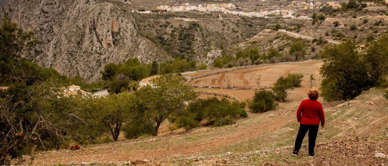 Tàrbena: zona cero de la Xylella