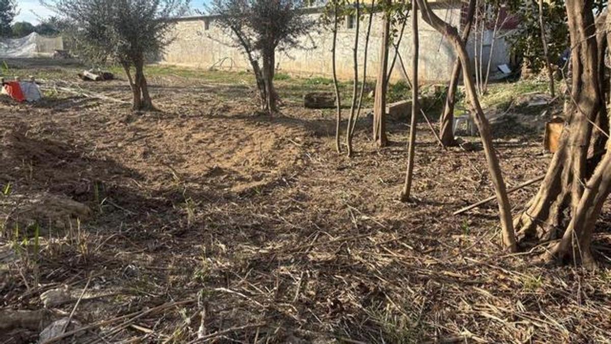 Noria of Blood Murcia: Cultural Protection of Dismantled Wheels