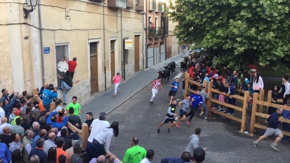 Toro de cajón y encierro urbano en Toro