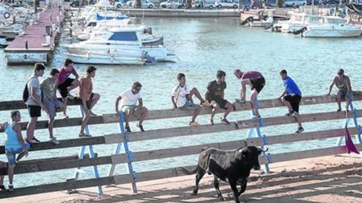 Un toro se pasea por la plaza situada en la playa de L'Ampolla ante la mirada de jóvenes asistentes.
