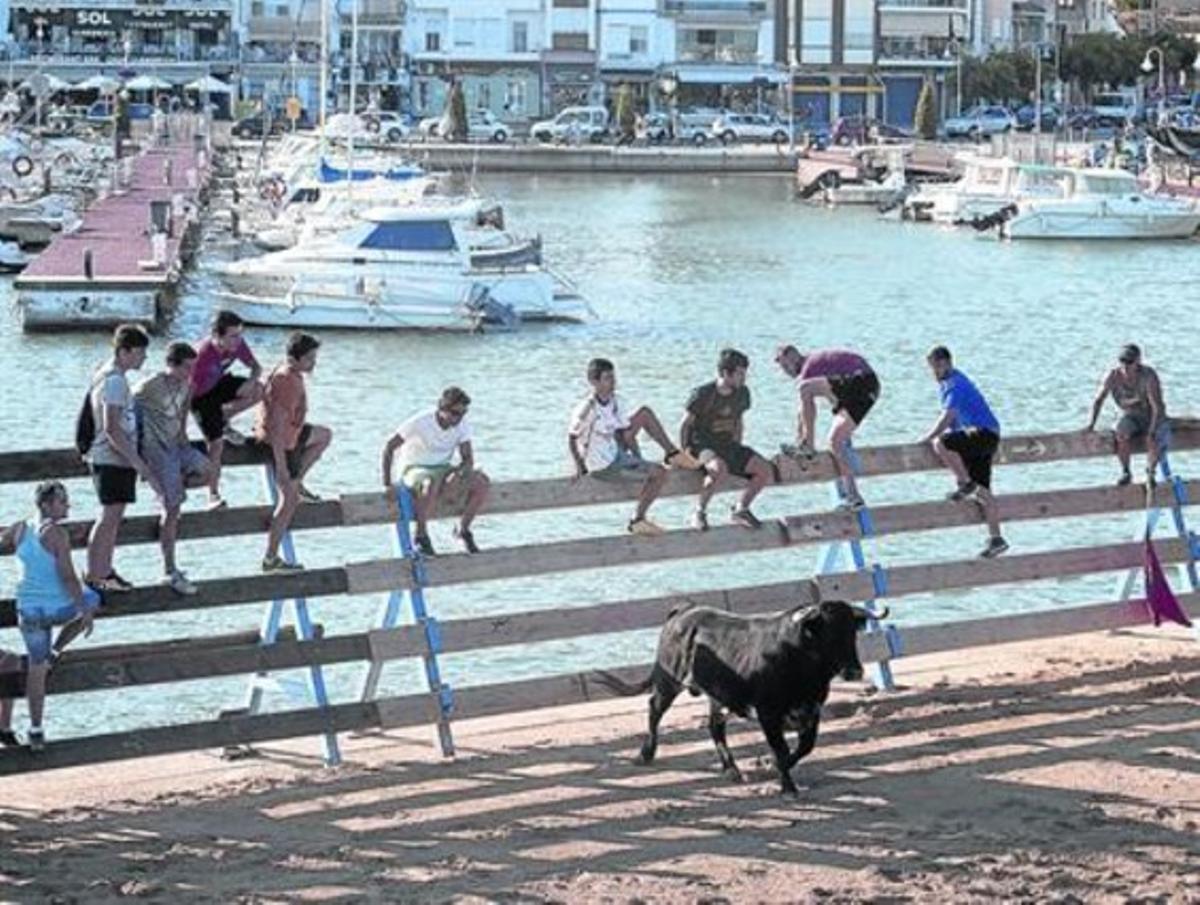 Un toro es passeja per la plaça situada a la platja de l’Ampolla davant la mirada de joves assistents. Un toro es passeja per la plaça situada a la platja de l’Ampolla davant la mirada de joves assistents.
