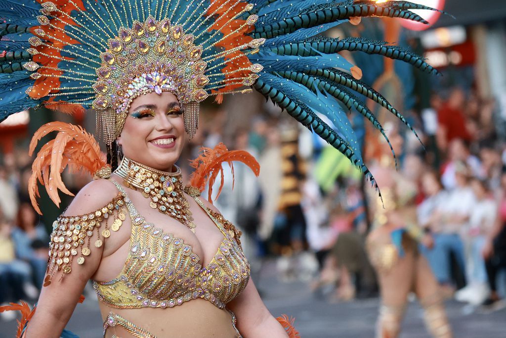 Desfile del Testamento de la Sardina 2025