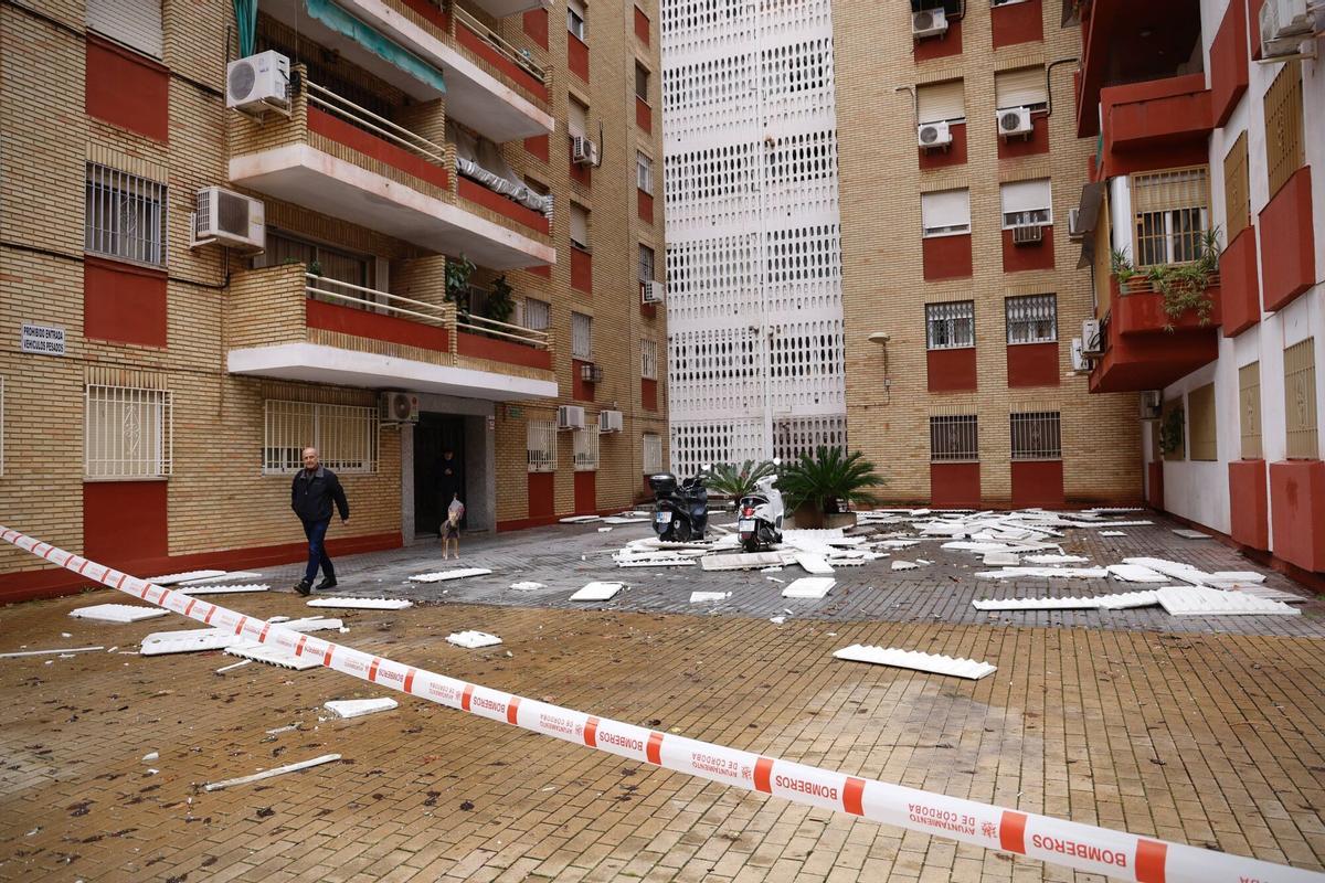 Efectos de la borrasca.