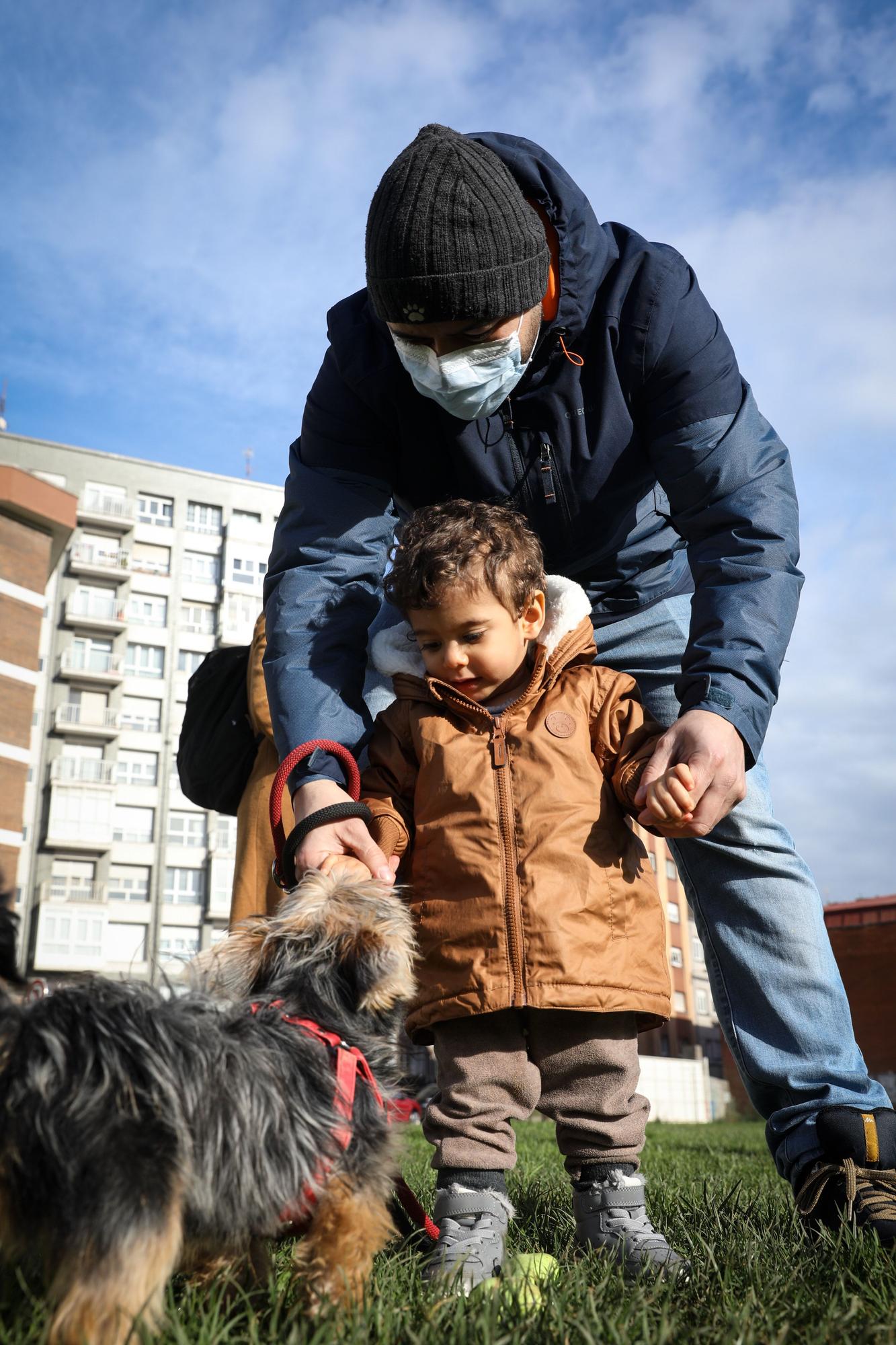 Las zonas para perros, espacios seguros