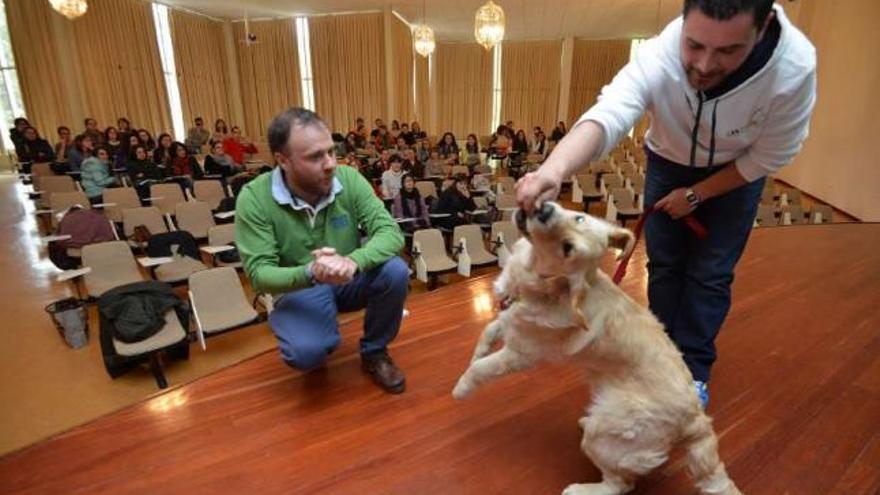 Un momento de la demostración práctica con perros acogidos celebrada ayer en la Uned.  // Gustavo Santos