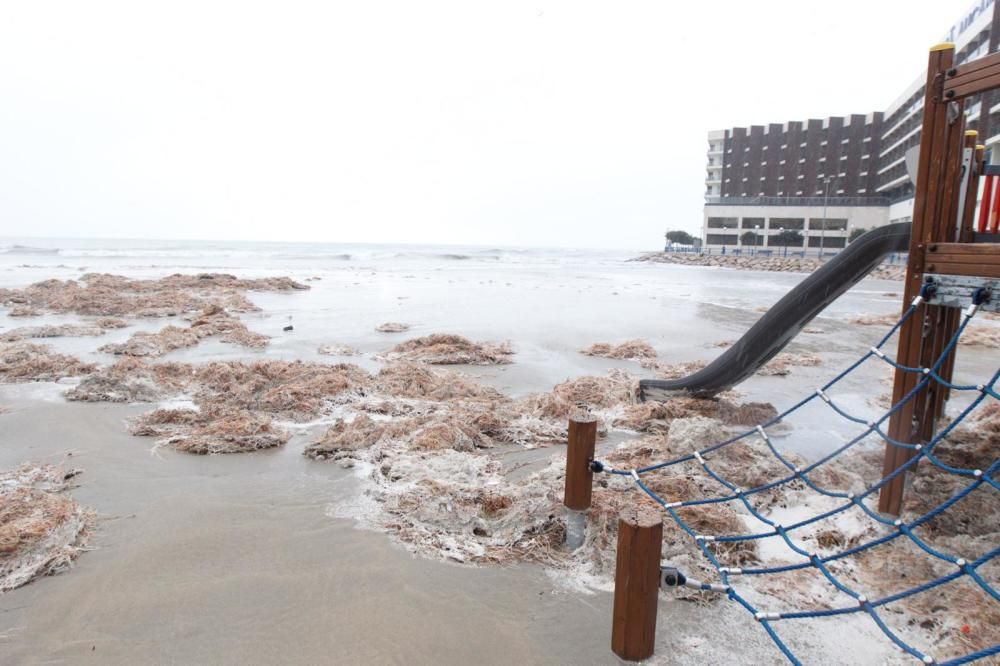 La borrasca Gloria deja impresionantes imágenes en la playa alicantina