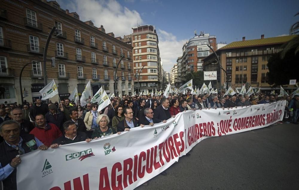 Así ha sido la manifestación de los agricultores en Murcia (II)