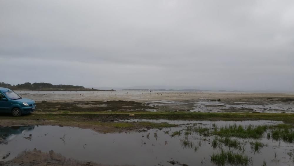 "Mareas vivas" en Galicia.