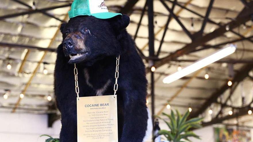 Un oso muere por sobredosis de cocaína y hacen una película de la tragedia con Ray Liotta como protagonista