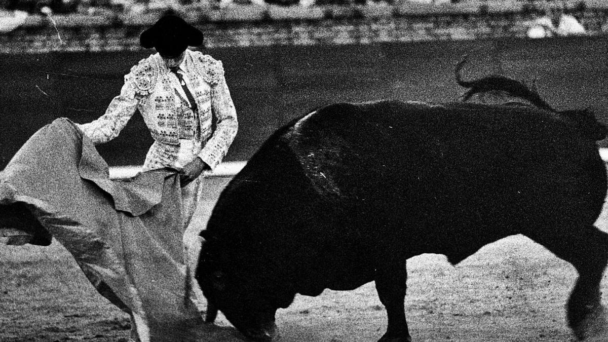 El ya matador de toros torea con el capote a ‘Desganado’, su segundo enemigo.