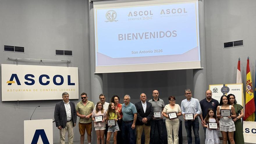"Delta", "Navalla" y "Armenia", las tres vacas lecheras de Asturias de premio gracias a su elevada producción