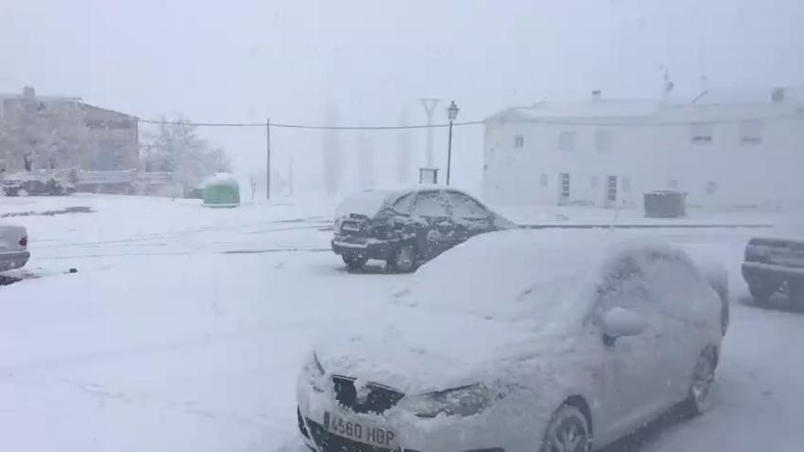 Nieva con fuerza en la pedanía de El Sabinar, en Moratalla