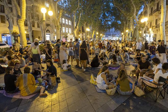 Los palmesanos recuperan el Born: "Hoy el paseo es nuestro"
