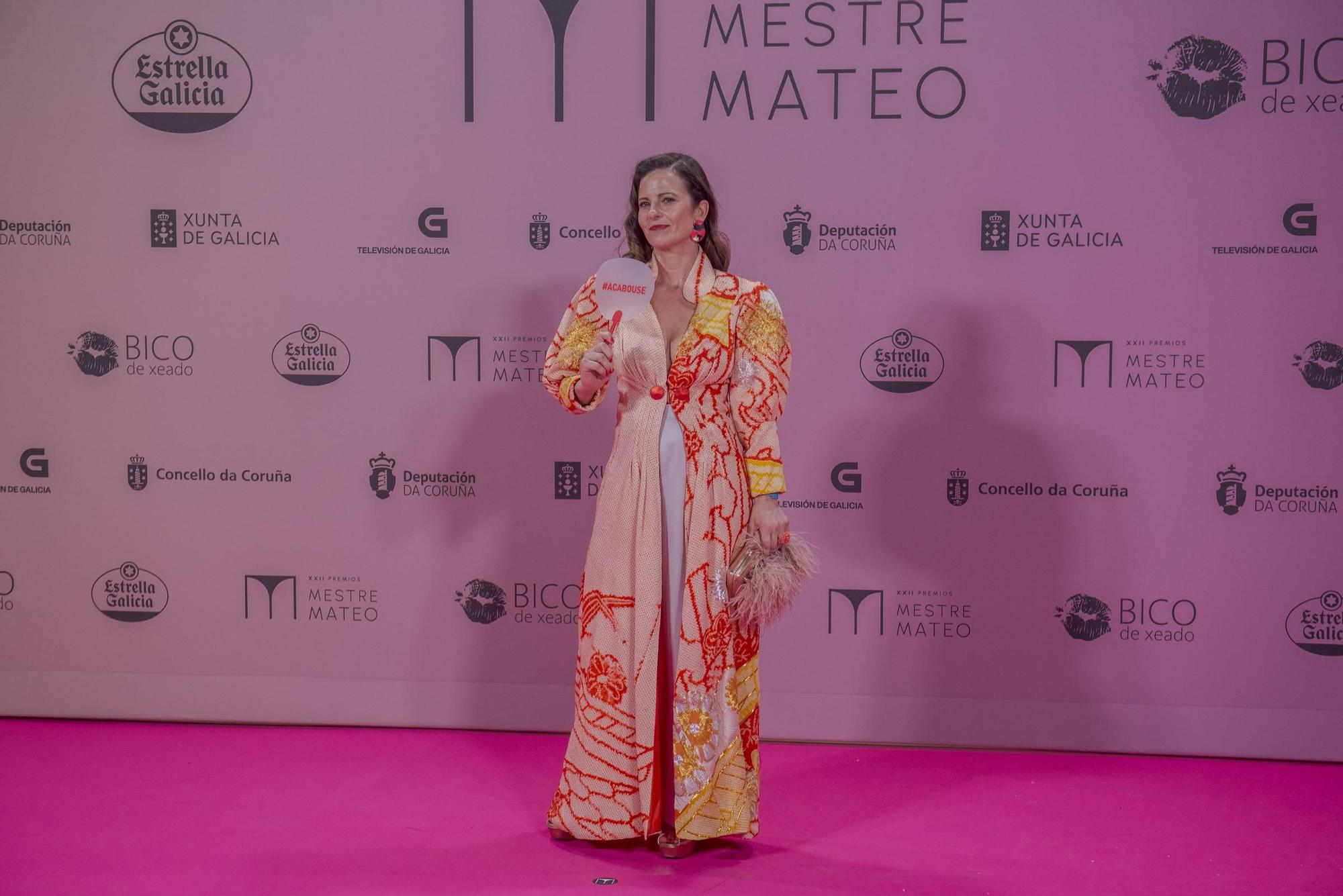 Gala dos premios Mestre Mateo 2024