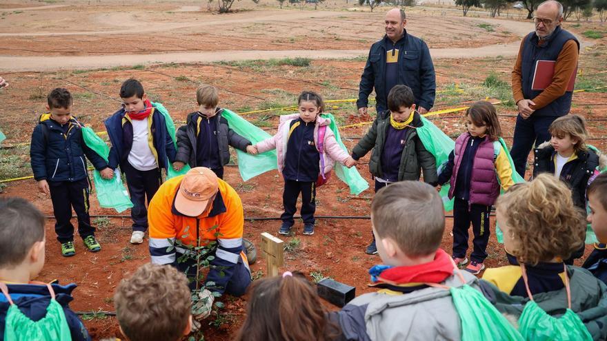 Los alumnos de Infantil participaron en la plantación de nuevas especies autóctonas en el  proyecto sostenible de Onda. | MEDITERRÁNEO