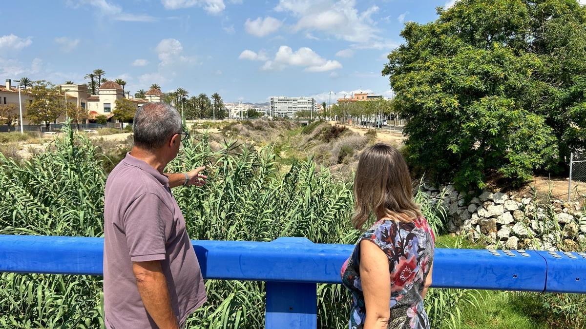 Los ediles del PSOE Vicente Alberola y María José Martínez observa el estado de uno de los barrancos en Elche