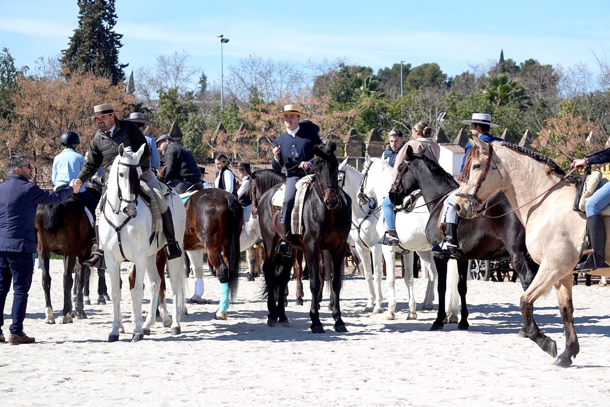 los caballos reinan en Córdoba el 28F