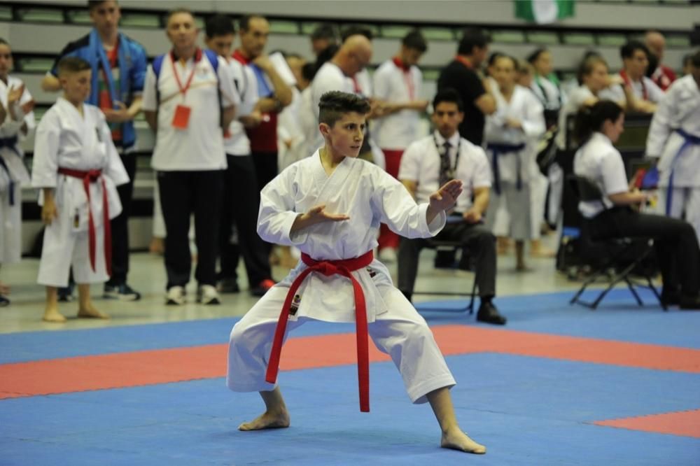 Campeonato de España de Karate en el Palacio de los Deportes