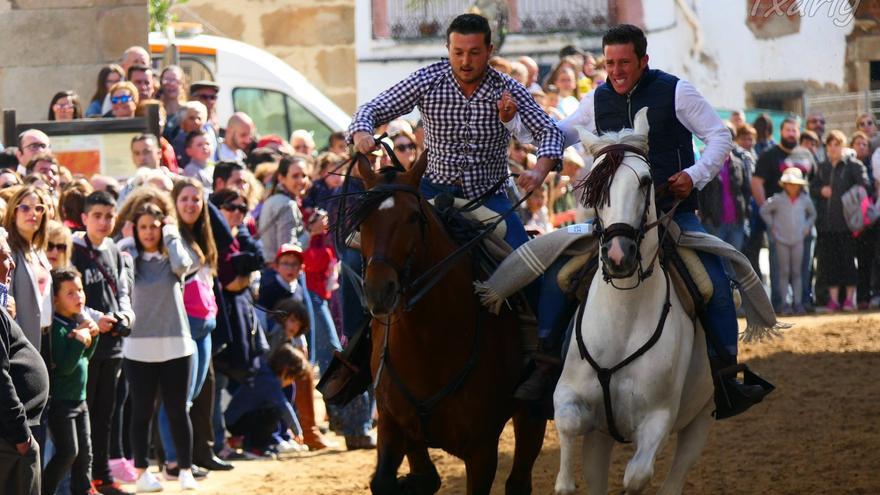 Navas del Madroño espera 150 jinetes en sus tradicionales carreras de caballos