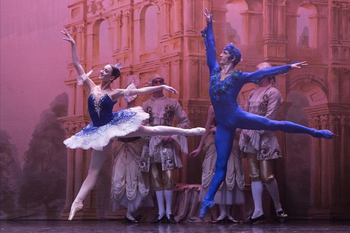 zentauroepp47225000 ballet sant petersburg parella de l ocell blau aleksandr190304213553 zentauroepp47225000 ballet sant petersburg parella de l ocell blau aleksandr190304213553