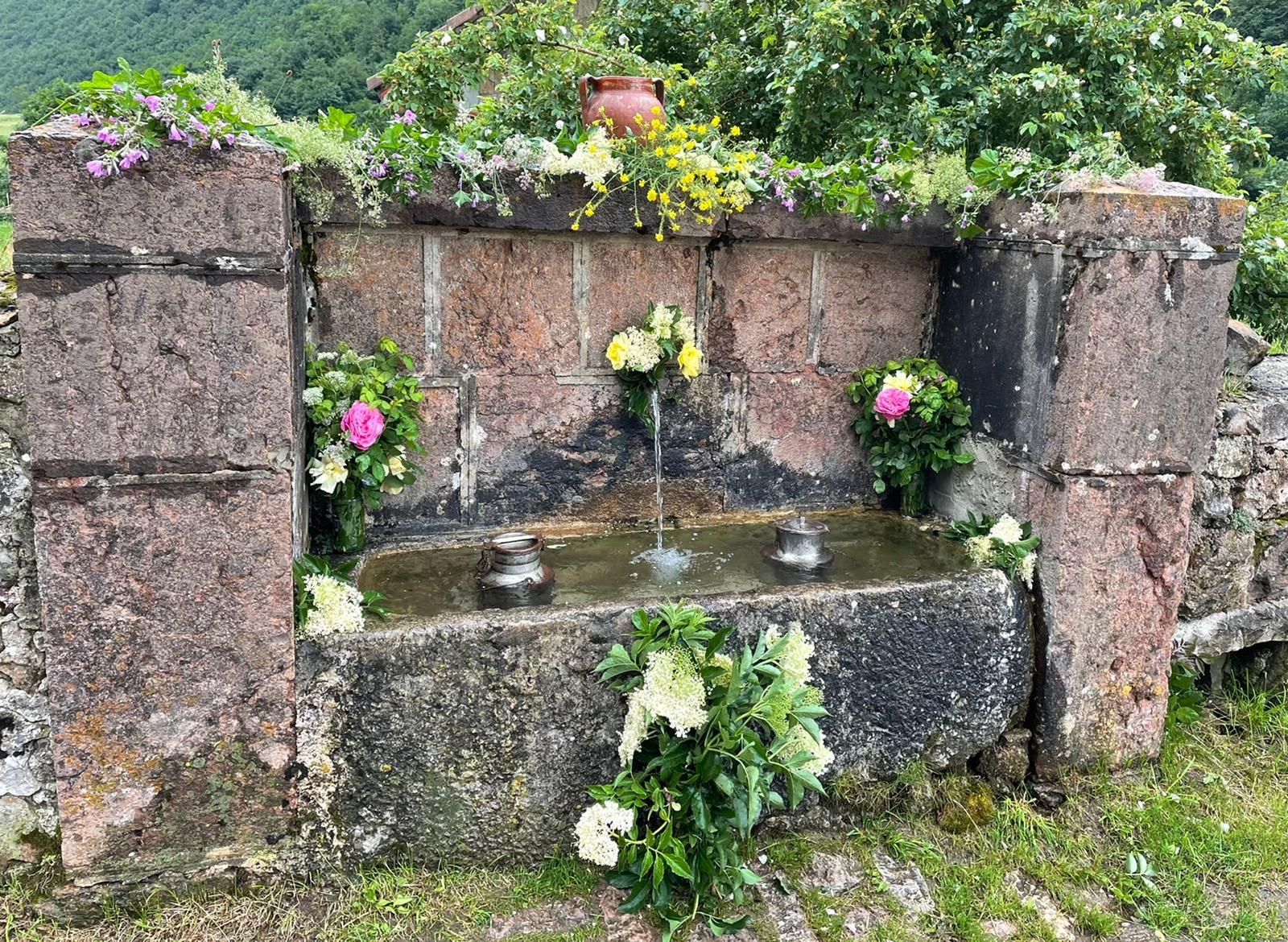 Fonte en L' Auiteiro. Valle del Lago.