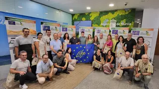 Soluciones prácticas y transferibles para mejorar la resiliencia de los bosques mediterráneos