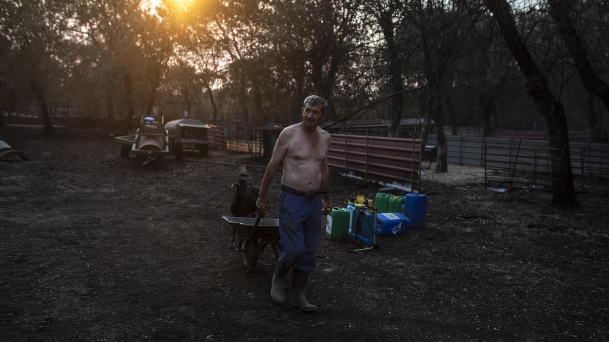 Un hombre transporta una carretilla en una de las zonas afectadas por el incendio de Losacio.