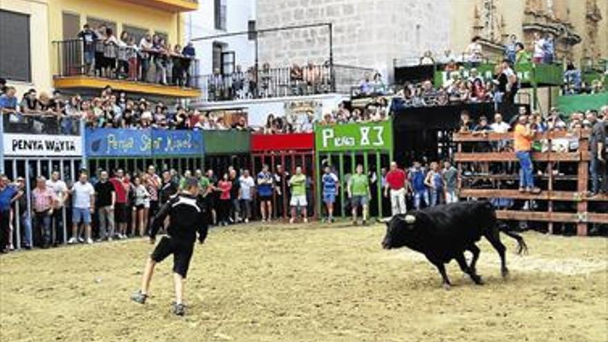 Música y ‘bous al carrer’ copan el programa de la semana en Llucena