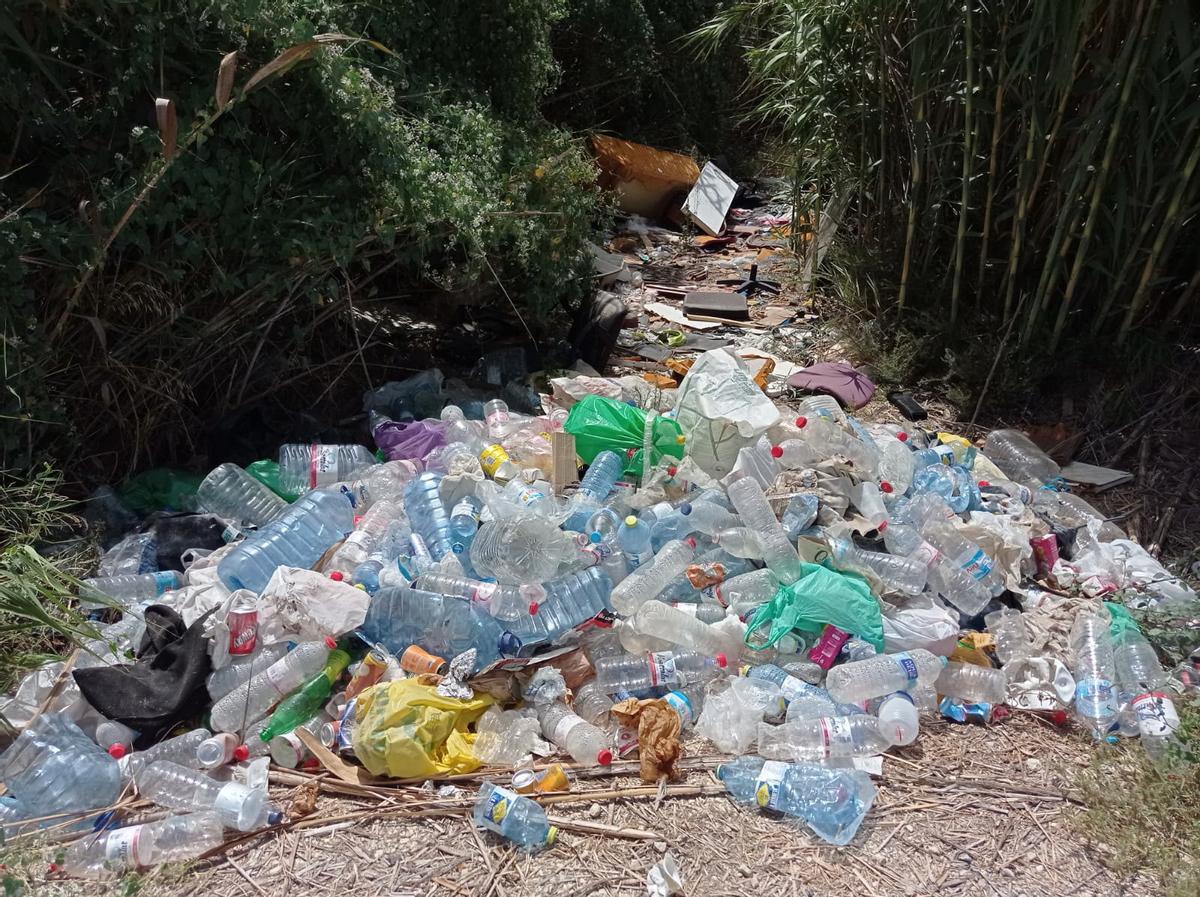 Infinidad de botellas de plástico y otros residuos en un punto de vertido que ha localizado AHSA