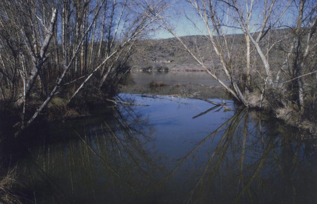 San Román de los Infantes, un lugar diminuto de larga historia realzado con la categoría de villa