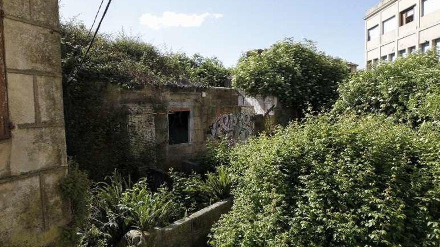 La maleza invade buena parte del Barrio del Cura. // J. Lores