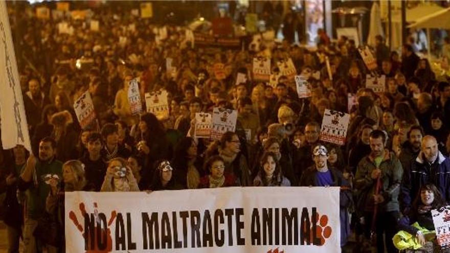 La protesta reunió a centenares de personas, que acudieron con sus mascotas y pancartas en defensa de los animales.