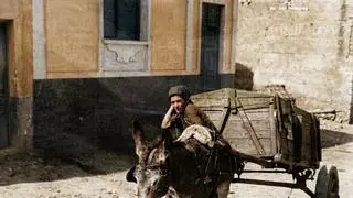 Mordido por un burro en Tenerife