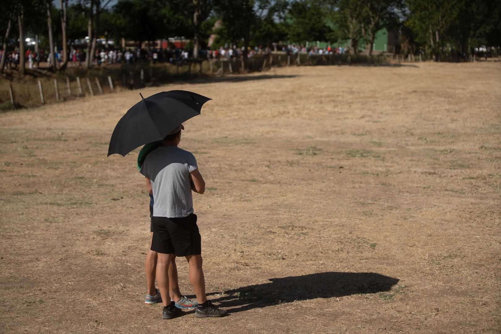 GALERÍA | Las mejores imágenes del encierro de campo en Fuentelapeña