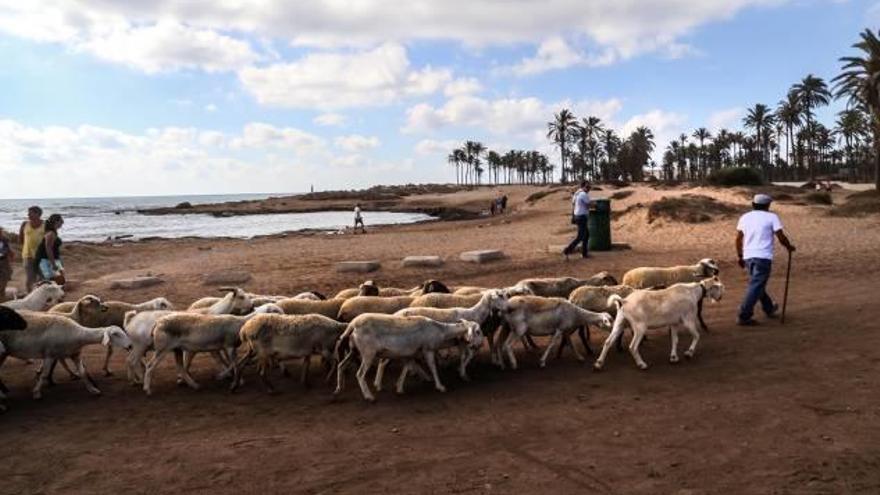 Imagen del muro de Ferrís, origen de la reclasificación de los 15 kilómetros de la vía pecuaria en Torrevieja