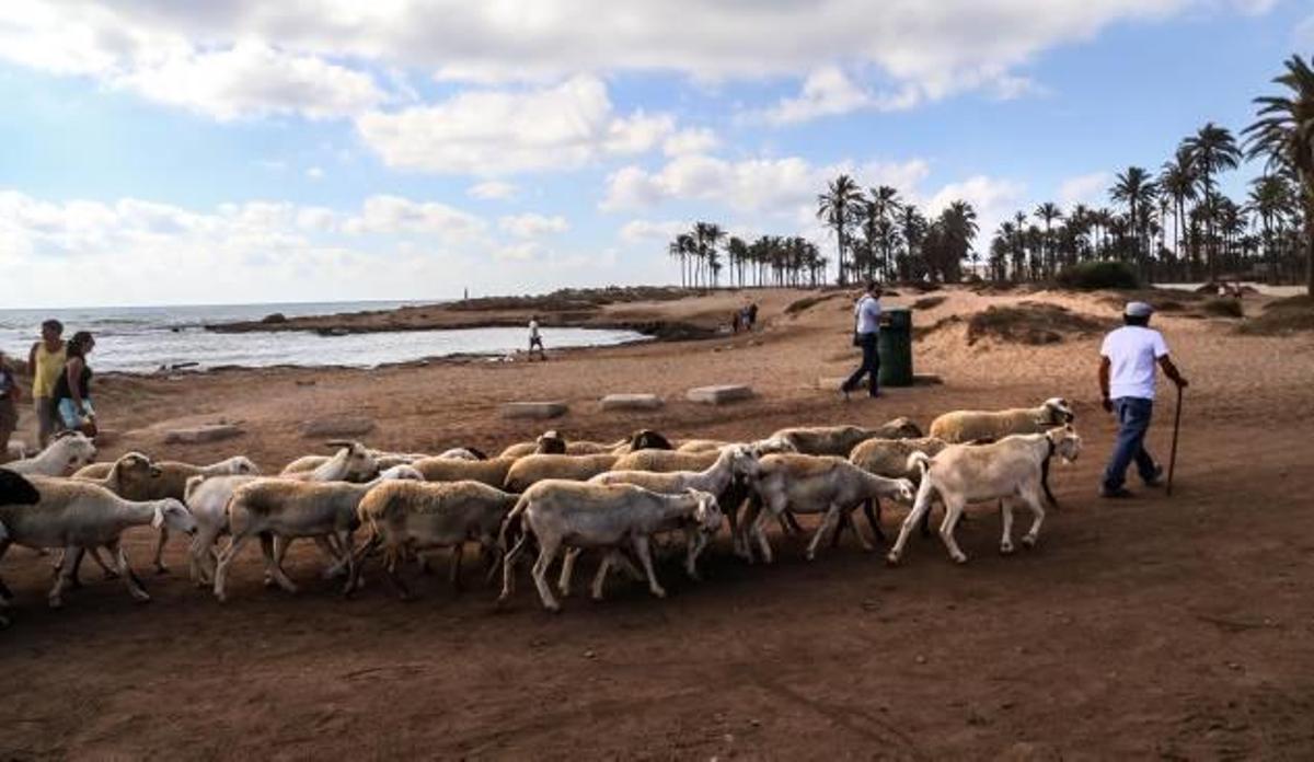 Imagen del muro de Ferrís, origen de la reclasificación de los 15 kilómetros de la vía pecuaria en Torrevieja
